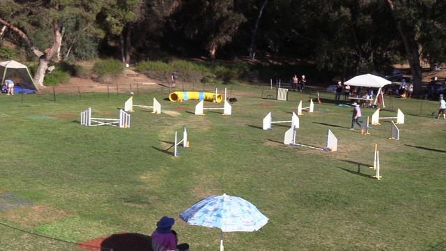 Vega Novice Jumpers NQ 8 1 21 смотреть онлайн