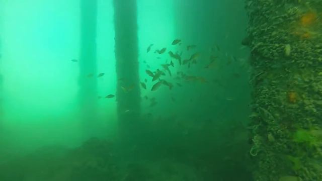 Под причалом смотреть онлайн