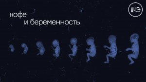 Можно ли кофе во время беременности?