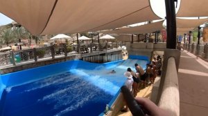 Аквапарк Wild Wadi Дубай/ Wild Wadi Dubai