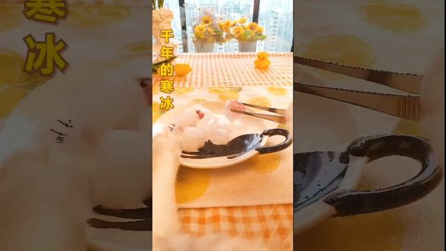 #short #Cat # Pet #Cute Chef Catie Puzzy Cooking Food | Милый кот готовит 2021