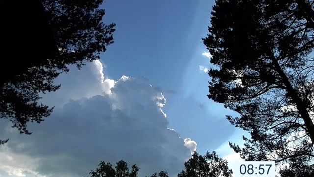 Настрои Сытина Г Н  Уничтожение всех вирусов и микробов, грибков