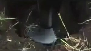 винтовые сваи купить в омске