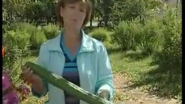 ДАРЫ ОСЕНИ смотреть онлайн