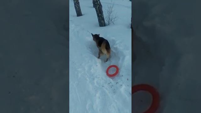 зимняя сказка смотреть онлайн