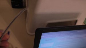 Как отучить кошку грызть провода. Защита проводов от кошек