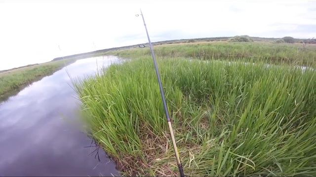 с воблерами на щуку по малой реке жарким летом 2016 (июнь - июль) смотреть онлайн