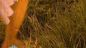 Лена Зосимова - Линия любви