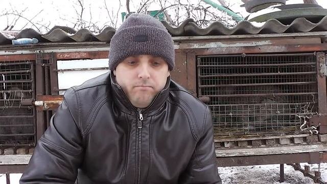 Кормление кроликов,веточный корм.