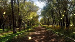 Как только мы с мужем достроили дом у моря, родственники решили, что можно бесплатно отдыхать