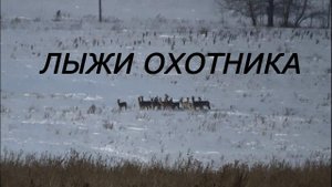 ЛЫЖИ ОХОТНИКА