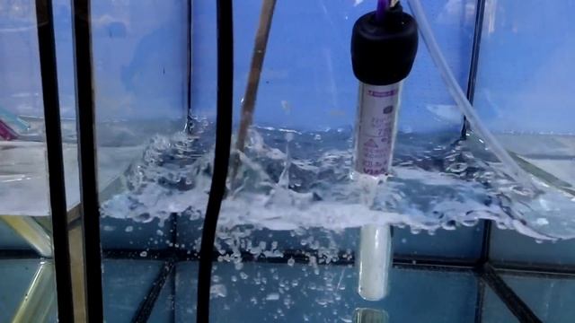 Как подготовить нерестовик + 2 ЛайФака смотреть онлайн