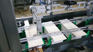 Оборудование для группировки и упаковки пакетиков-саше — колларатор и картонатор БАЗИС-50