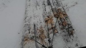 Дт-75 везёт волок