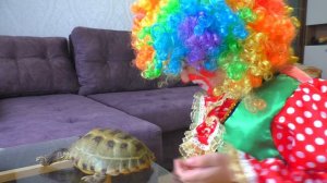 ЧЕллЕНдЖ! КЛОУН ПРЕВРАТИ ИГРУШКИ В ЖИВОТНЫХ {СМЕШНОЙ КЛОУН ДЛЯ ДЕТЕЙ} ЛУЧШИЕ ИГРЫ обзор игрушек