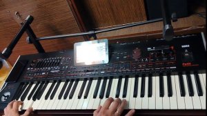 Korg Pa 4x Aleks Rasov - High.