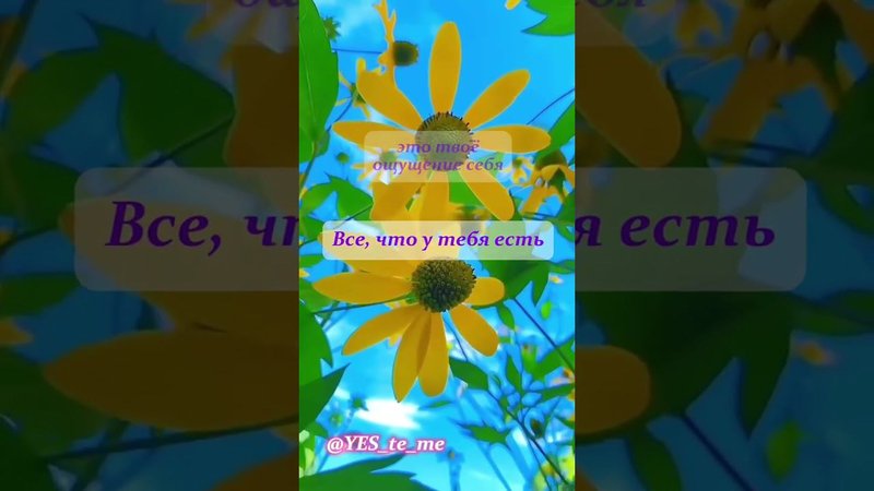 Всё что у тебя есть это... #вибрации #осознанность #жизнь #любовьксебе #ценностьсебя #всёхорошо #5d