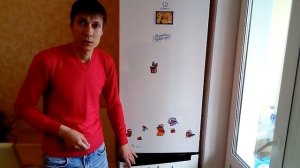 Обзор техники.  Холодильник Indesit DS 4200 W