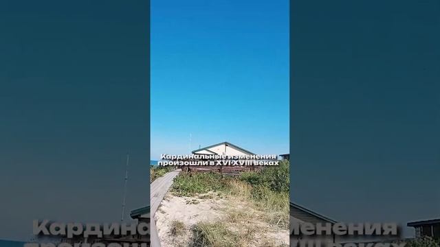 Куршская коса Калининграда #shorts