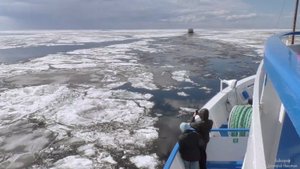 Теплоход "Максим Литвинов" проходит сквозь лёд в Онежском озере. 12 мая 2022г.