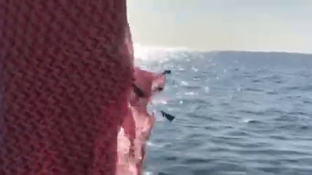 Волшебное утро смотреть онлайн