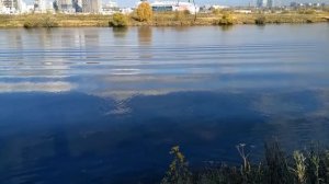 Москва-река, Строгино
