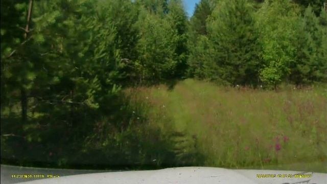 деревня Фёдоровское Макарьевского района Костромской области