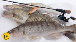 TsuYoki Vika Рыбалка на одну приманку.