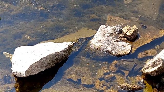 Аргазинское водохранилище.#аргазинскоеводохранидище#
