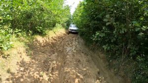 Что может нива в стоке на бездорожье, offroad