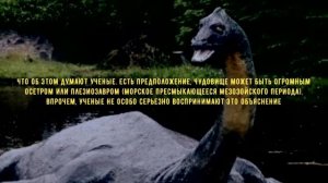 Лох-несское чудовище Несси - миф или реальность. Разбираем гипотезы и теории с точки зрения логики