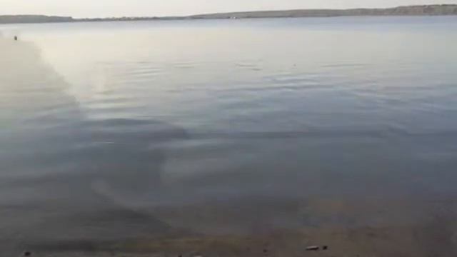 Озеро Сенеж, Солнечногорск