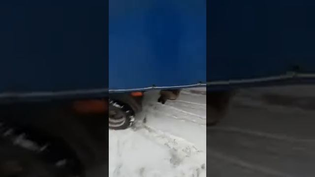 Газель V-8.Двигатель от тойоты.Автомат. - смотреть видео онлайн от «Смешные заправки» в хорошем качестве, опубликованное 25 января 2024 года в 10:53:40.