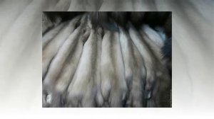 ДЕНЬГИ   Интересный Слайд 2020 Для Всех Возрастов МСЦ ЕХБ  Рассказ ХристианскиЙ