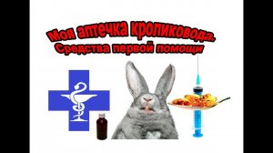 Моя аптечка кроликовода. Средства первой помощи.