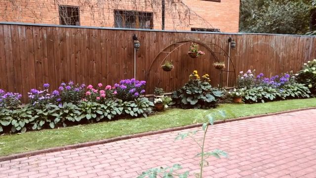 Как тёмное место сделать светлым - показываем!!! DIY  #садсвоимируками #мойлюбимыйсад #садоводство