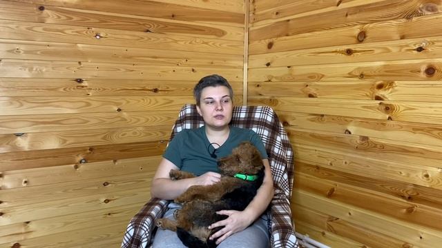 Что случилось, Усы? Собака боится пылесоса смотреть онлайн