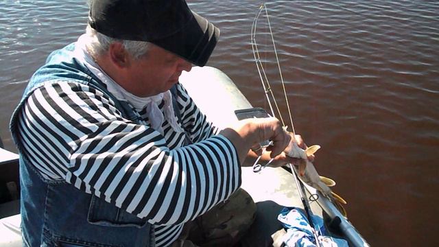 Волхов. Оз. Подолье оз. Караша. Спиннинг ловим щук. 2016 - 2023 года