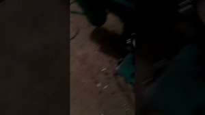 Восход 1966г. выпуска с двигателем 166 fmm(Irbis)