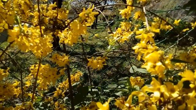 Приезжать увидеть поезд вам решать смотреть онлайн