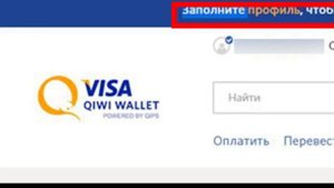 Серия и номер паспорта для QIWI