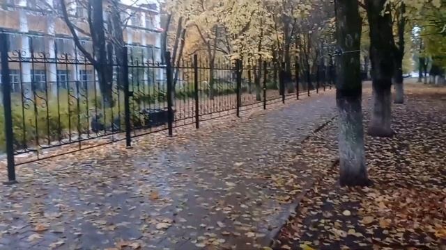 20 октября 2023 г. (пятница). Красивый и дождливый г. Губкин Белгородской области. смотреть онлайн