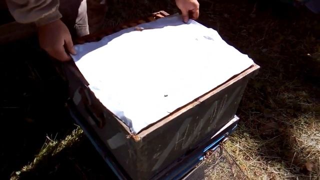 ОБЪЕДИНЯЕМ СЕМЬИ ЧЕРЕЗ БУМАГУ смотреть онлайн