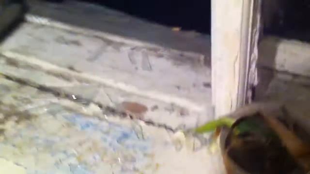 Выбросил кресло в окно смотреть онлайн