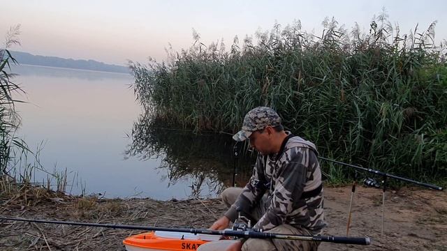 Лиса съела сметану и украла тапки. Рыбалка на трофейного леща. Часть 1 смотреть онлайн