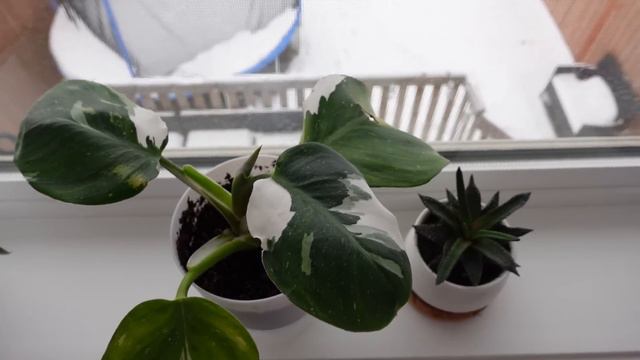 Очень неприятная новость, порезала руку//9 часов в госпитале! смотреть онлайн