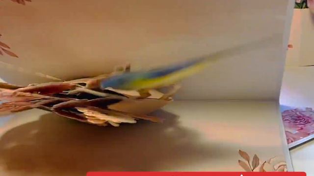 Vintage Watering Can with Roses Pop Up Card Mother's Day SHOP ONLINE https://origamipopcards.com/ смотреть онлайн