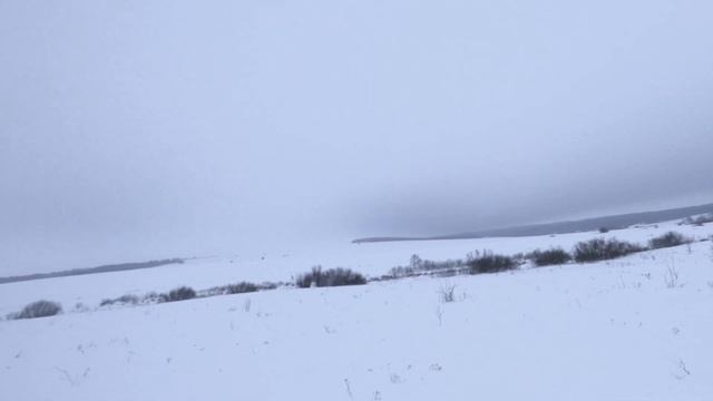 "Стадо зайца на закрытии" Охота на зайца в Саратовской области смотреть онлайн