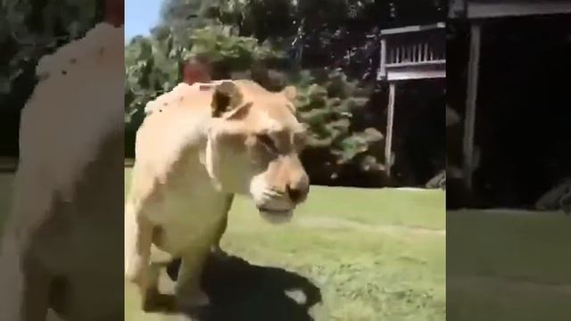 6 августа 2020 г. смотреть онлайн