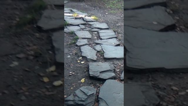 УСТЬ-КАМЕНОГОРСК, ТЮРКСКИЕ ЛЕГЕНДА И  МАЛАХИТОВАЯ ШКАТУЛКА БАЖОВ#zagadkiistorii #загадки#shorts